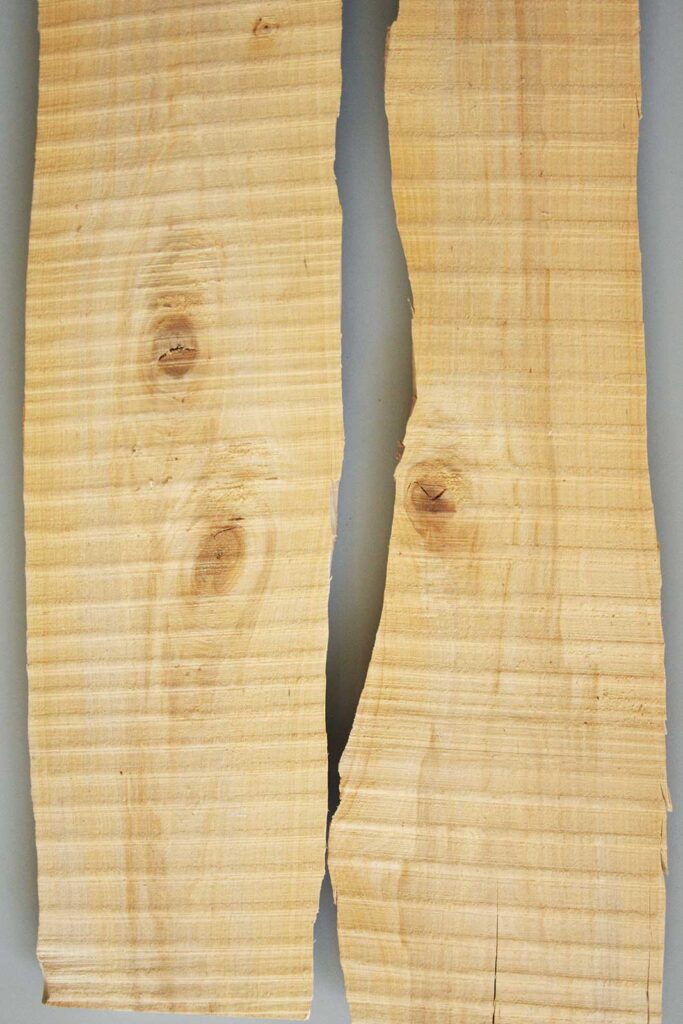 Bretter sägerauh der Eberesche Vogelbeere Sorbus aucuparia, mit Ast, Holzmuster