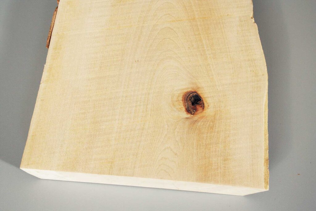 Holzmuster Platane Platanus hispanica Brett mit Baumkante und Ast