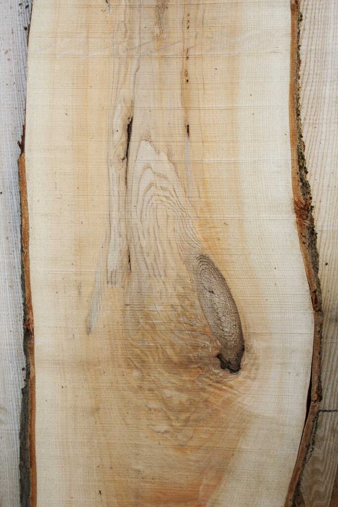 Holzmuster Esche mit Ast, sägerauhes Brett mit Baumkante